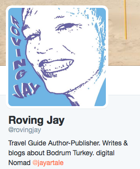 Roving Jay Twitter Profile @rovingjay